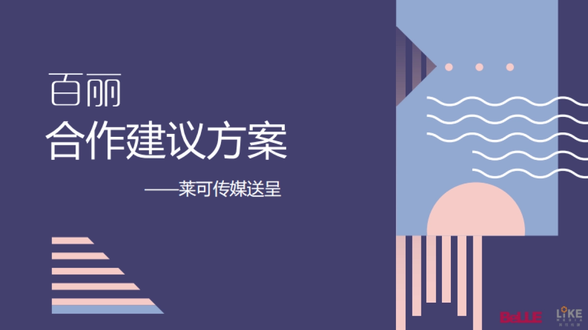 百丽合作建议方案_第1页