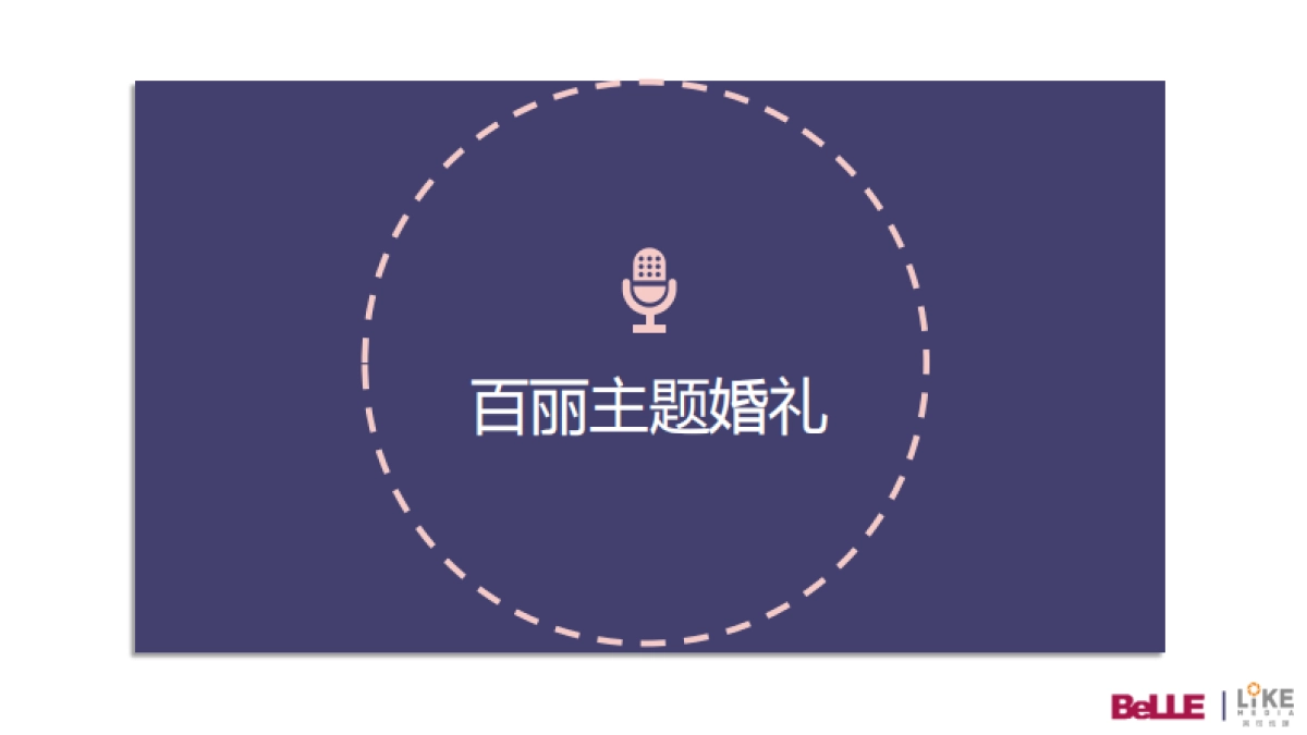 百丽合作建议方案_第3页