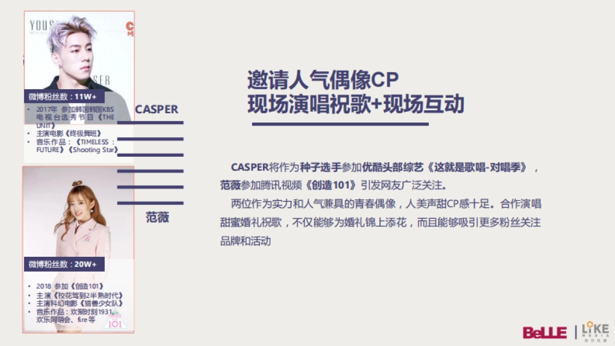 百丽合作建议方案_第6页