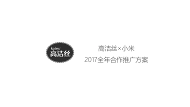 高洁丝&小米全年合作推广规划更新版