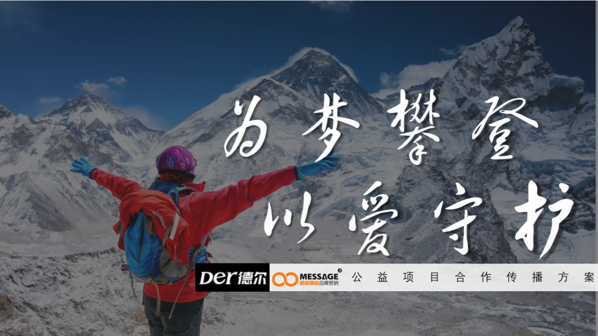 公益项目德尔致敬攀登者合作方案_第1页
