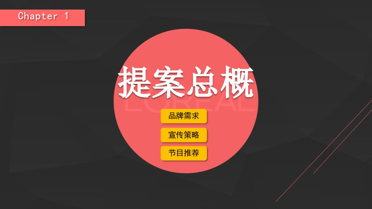 欧莱雅合作方向提案_第3页