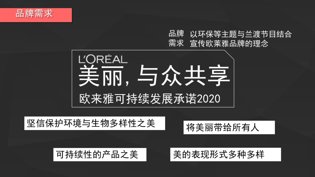 欧莱雅合作方向提案_第4页