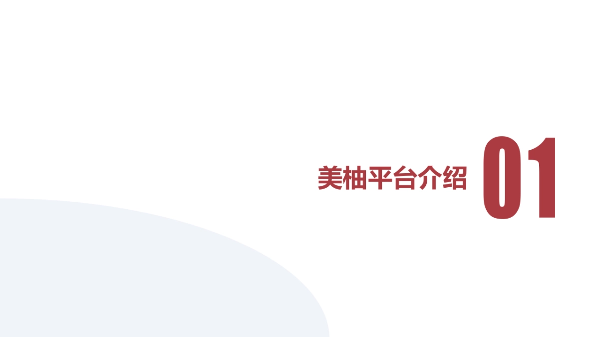平安津村舒颜参茶下半年合作方案_第2页