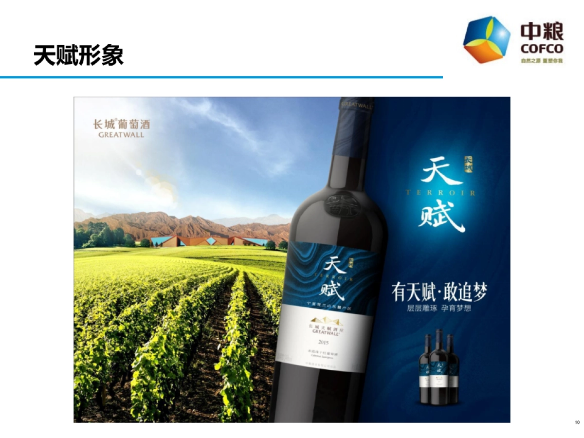 中粮长城酒业——中国扶贫志愿服务促进协会合作方案_第10页