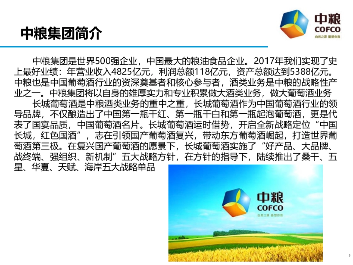 中粮长城酒业——中国扶贫志愿服务促进协会合作方案_第5页
