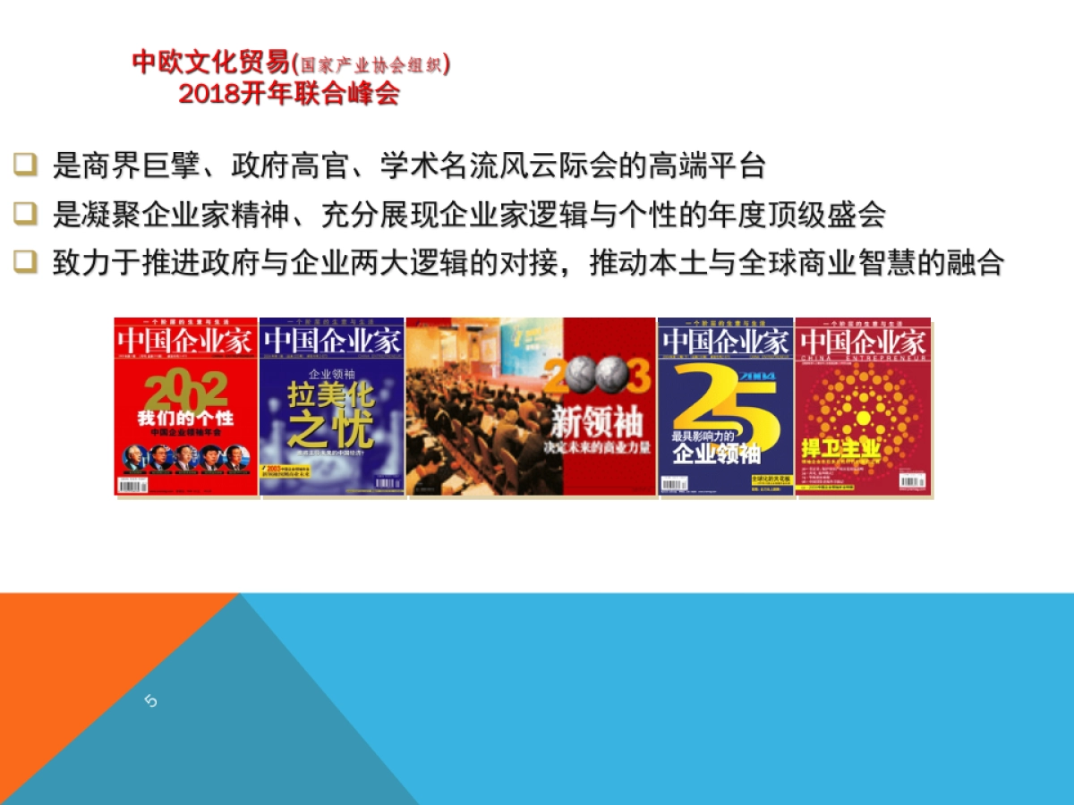 中欧文化贸易开年联合峰会招商案_第5页