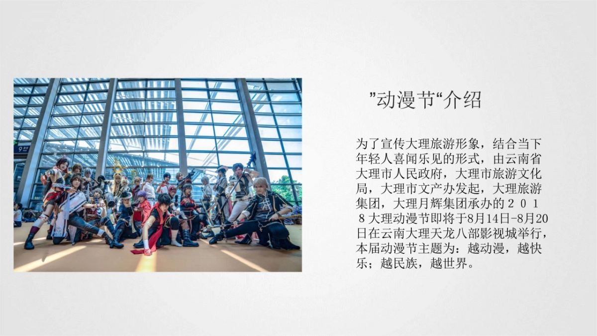 中国大理第二届天龙八部动漫节招商方案_第4页