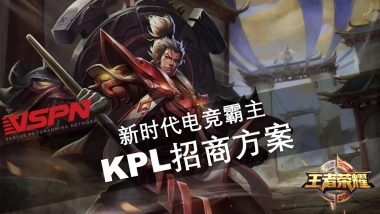 王者荣耀职业联赛招商方案
