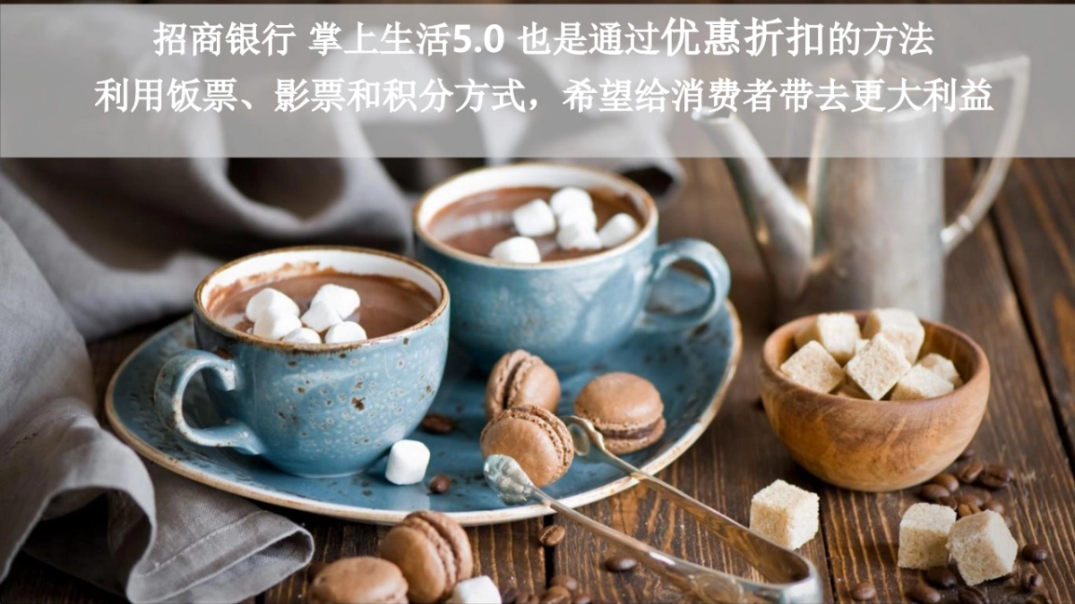 招商银行掌上生活方案_第5页