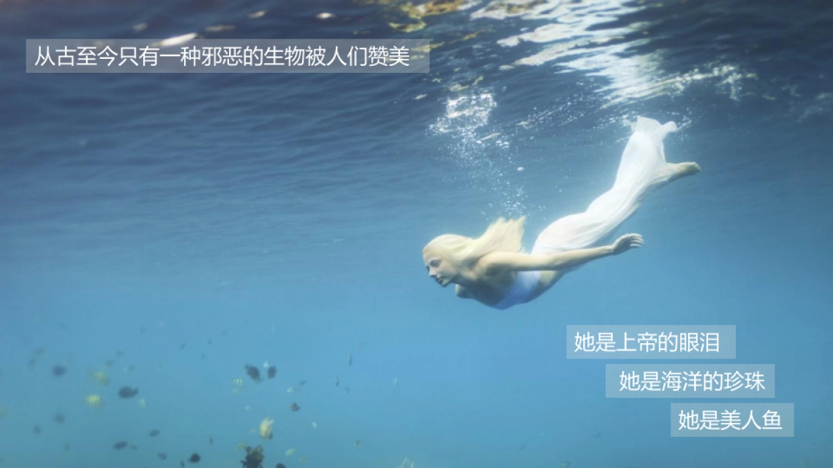 周星驰电影《美人鱼》 汽车行业招商方案_第3页