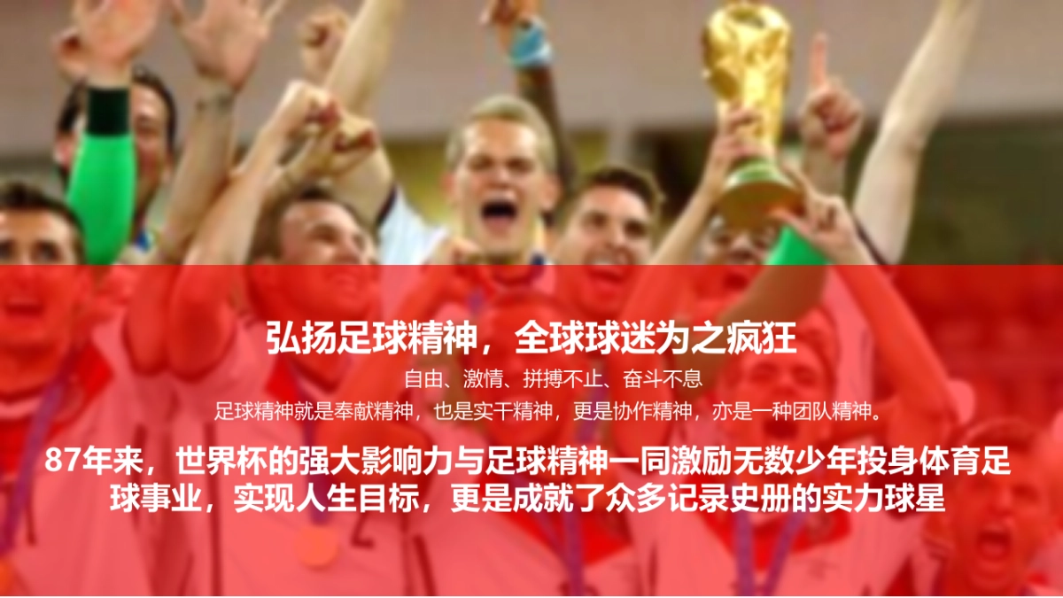 网易有道世界杯招商方案_第4页