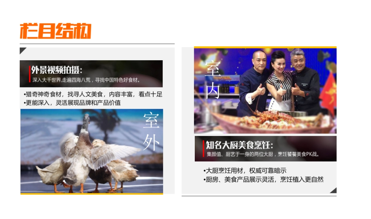ZQ 《食尚大转盘》招商方案_第5页