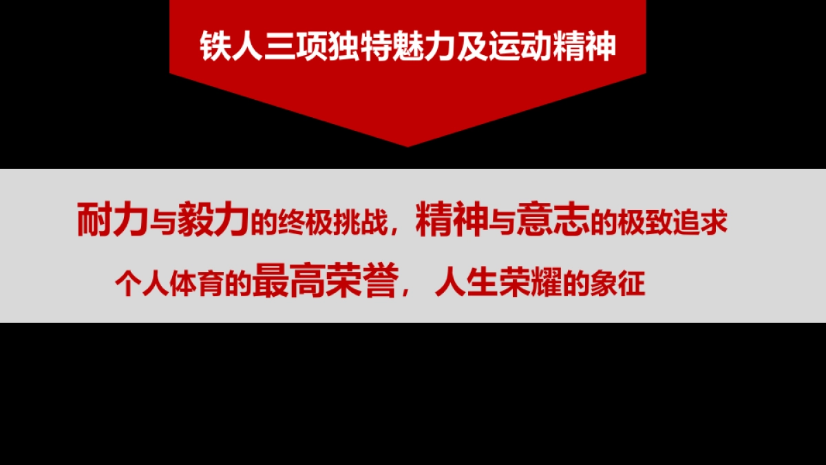 玄铁系列赛项目招商方案Geely_第9页