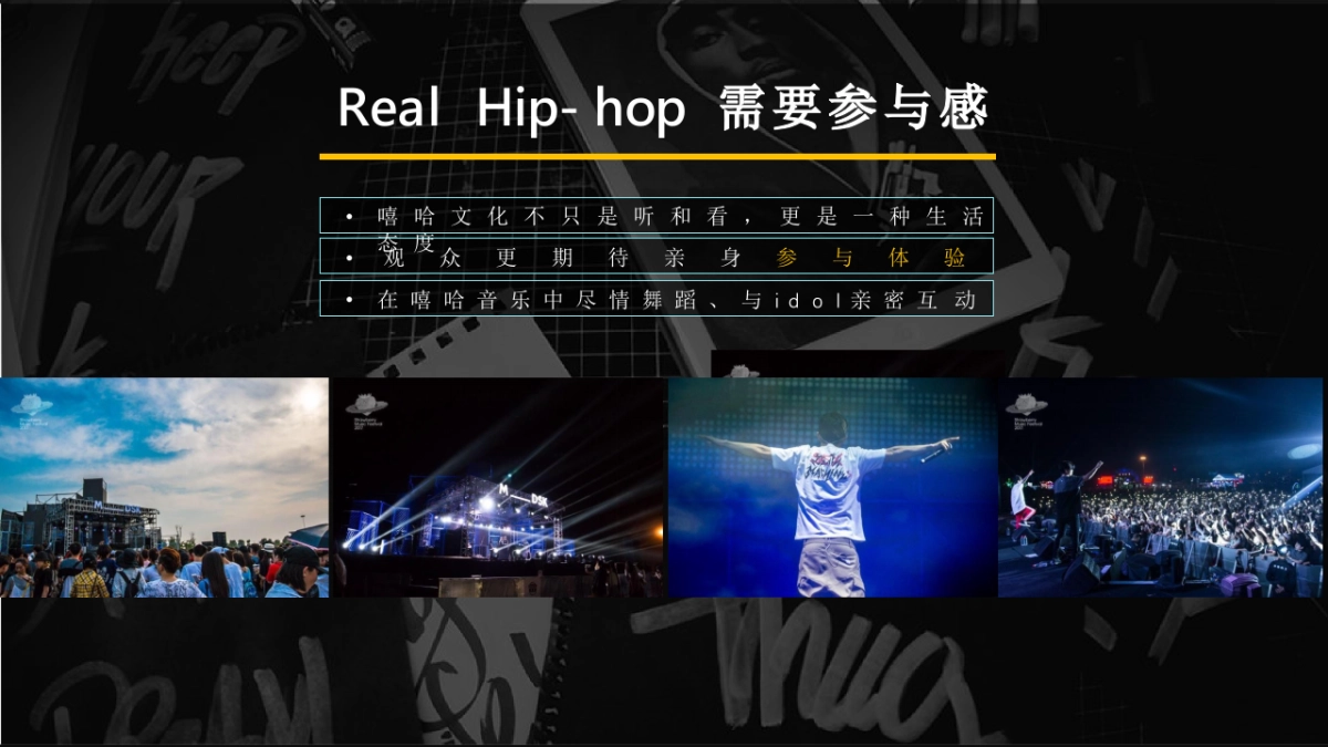 中国有嘻哈Live巡演招商方案_第3页