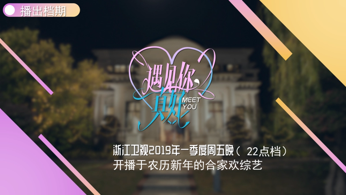 浙江卫视《遇见你，真好》节目招商方案_第2页