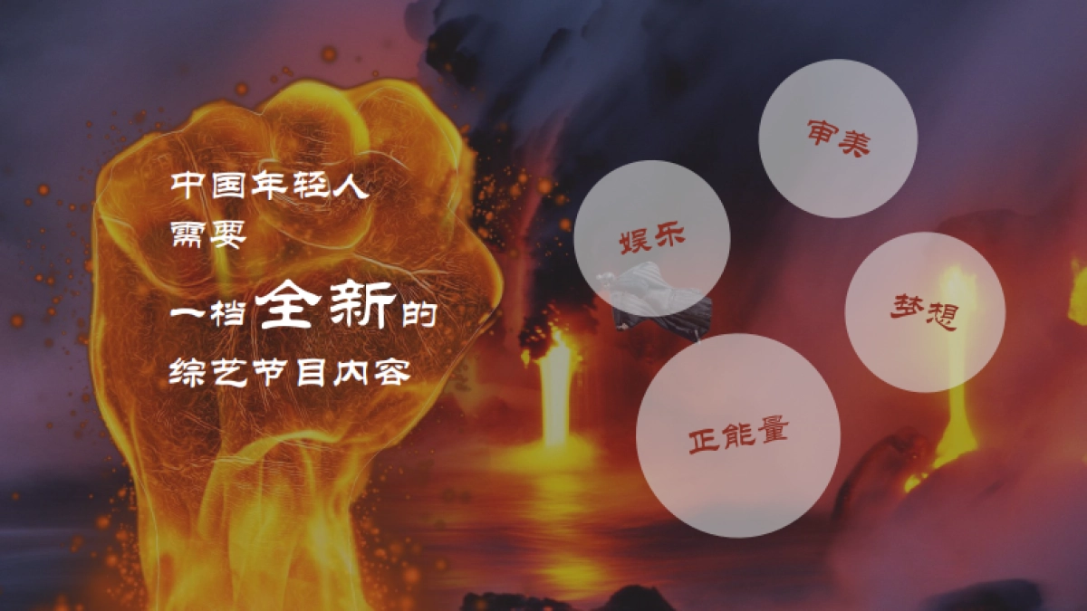 《空中奇缘》中国首档空乘选拔真人秀招商方案_第5页