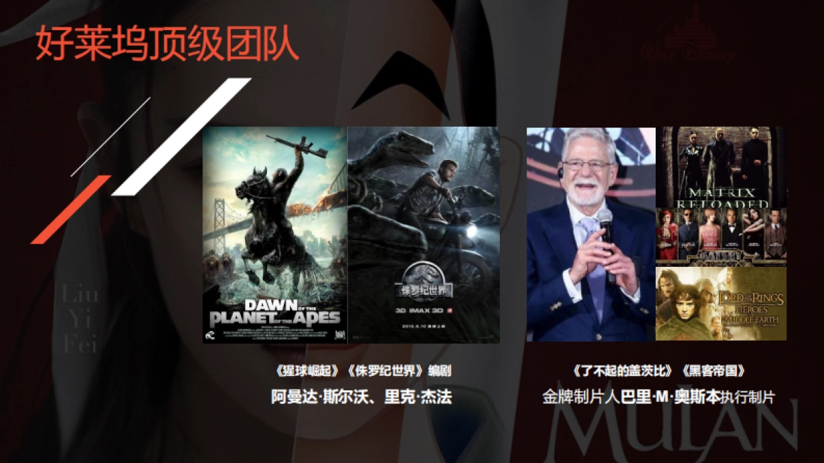 《花木兰》招商方案_第7页