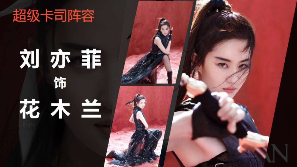 《花木兰》招商方案_第8页