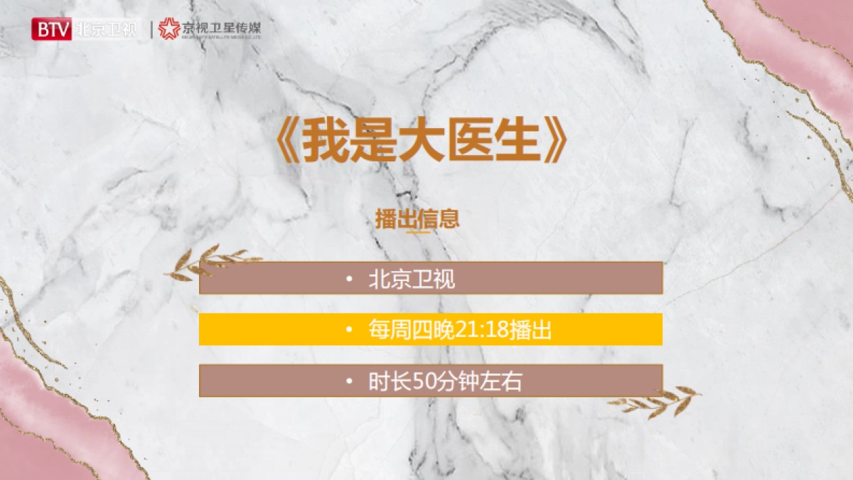 2021年北京卫视《我是大医生》招商方案_第2页