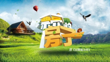 爱奇艺Q季播版权综艺《漂亮的房子》招商方案