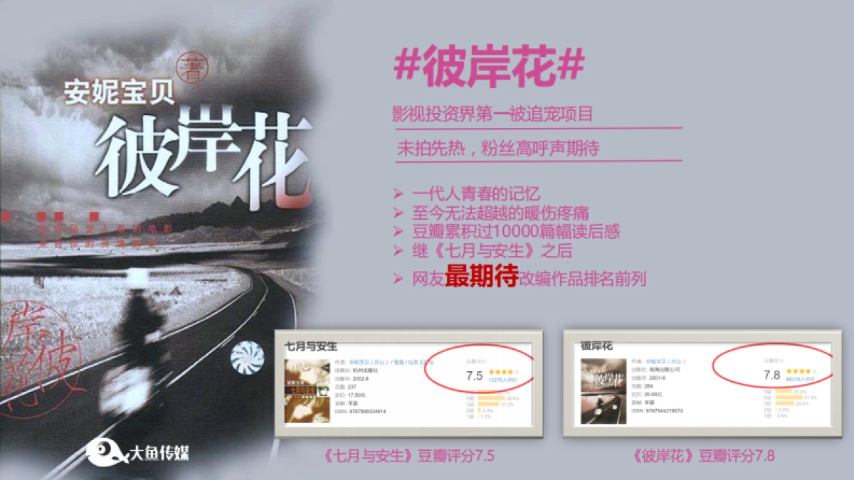 安妮宝贝大IP《彼岸花》项目招商案（大鱼）_第4页