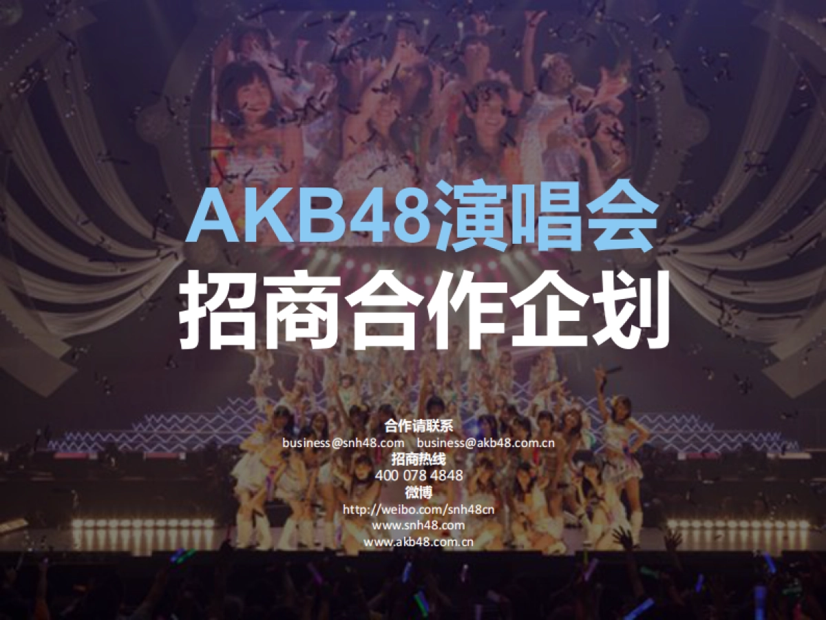 AKB48演唱会招商企划_第1页