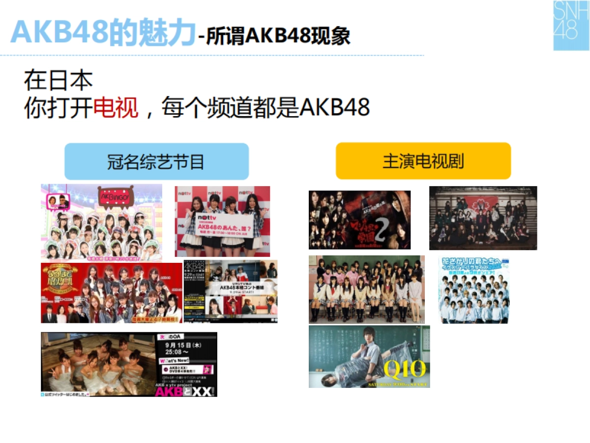 AKB48演唱会招商企划_第5页