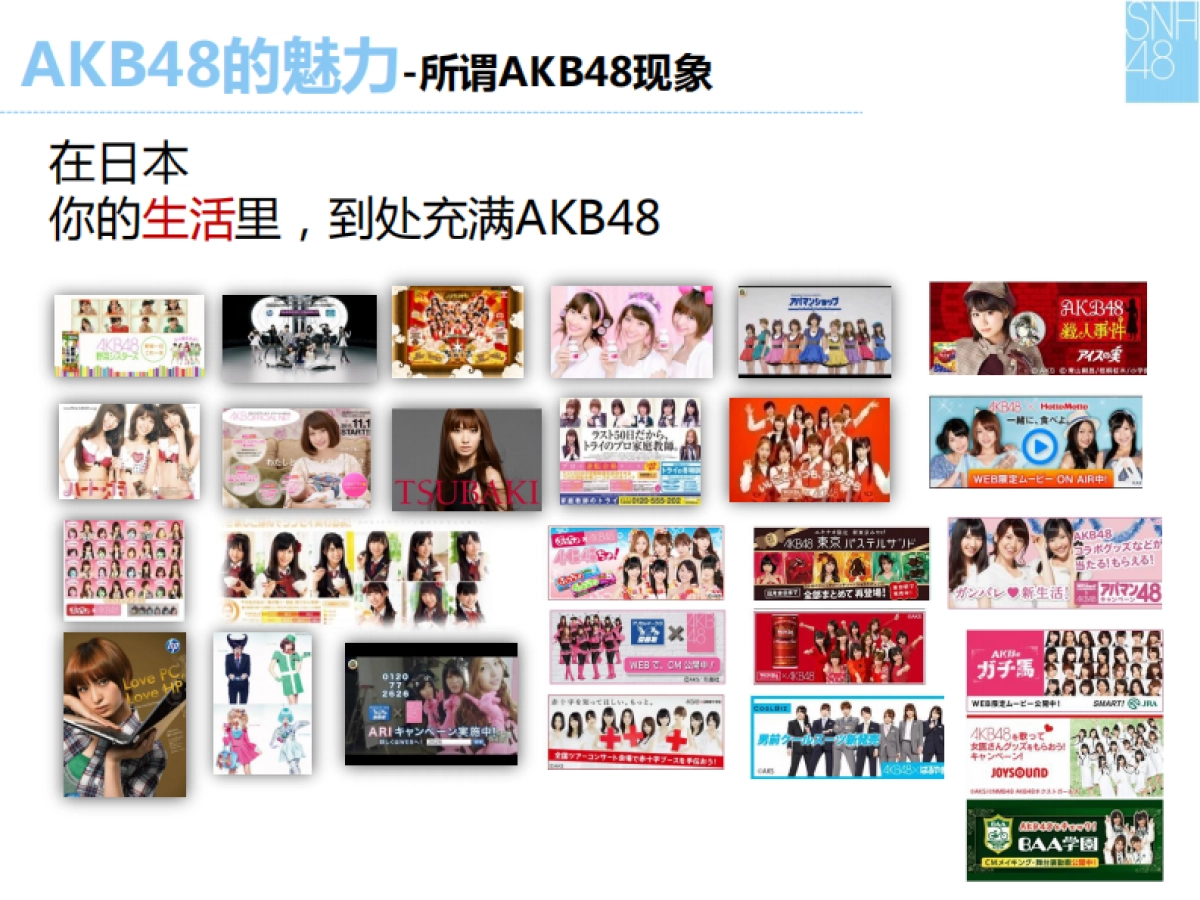 AKB48演唱会招商企划_第6页