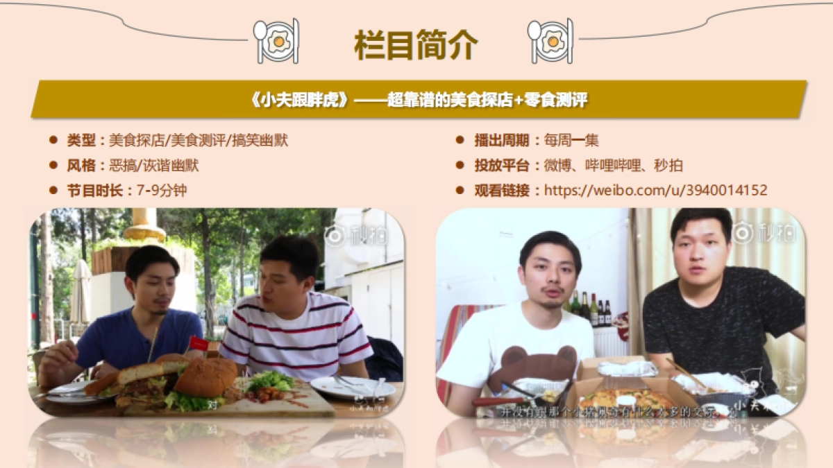 《小夫跟胖虎》招商方案_第4页