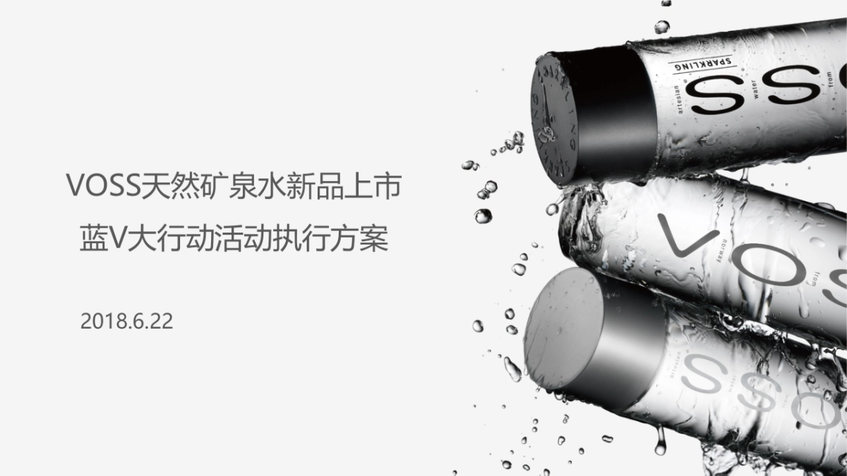 VOSS国产水上市蓝V大行动执行方案_第1页
