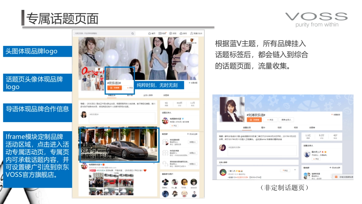 VOSS国产水上市蓝V大行动执行方案_第10页