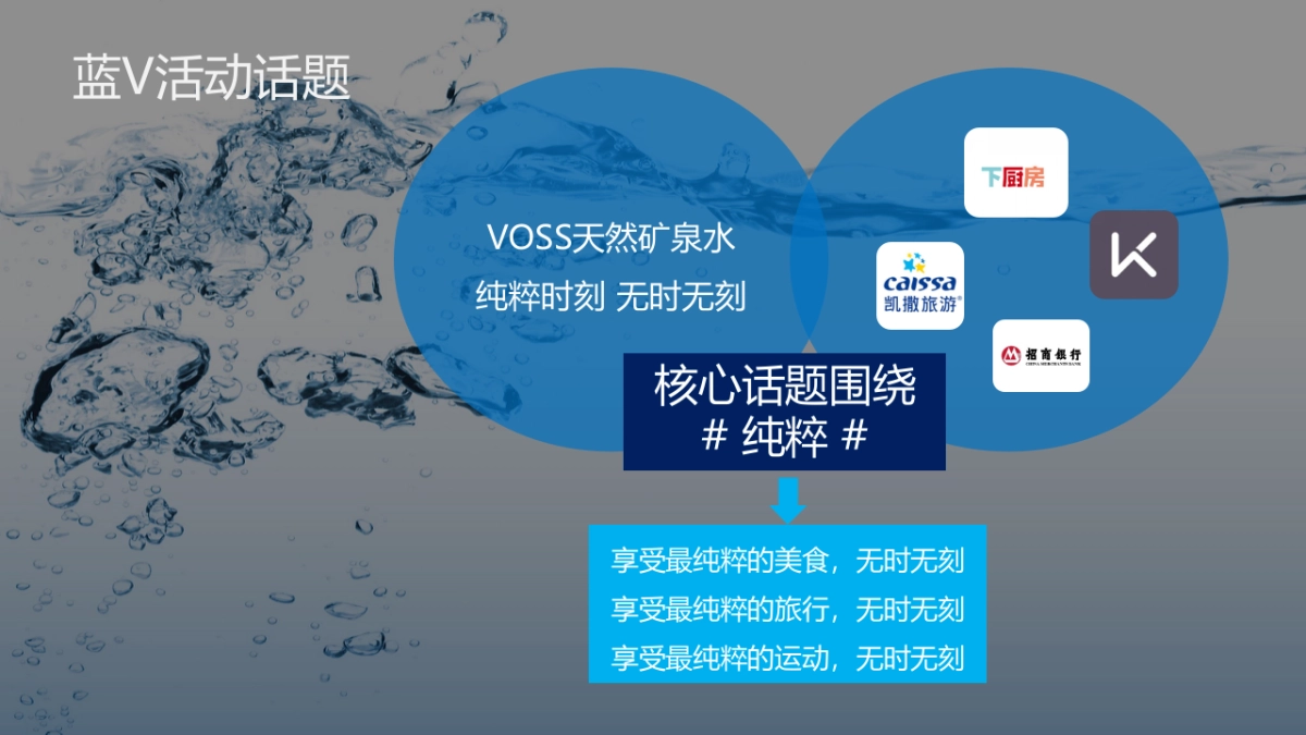 VOSS国产水上市蓝V大行动执行方案_第3页