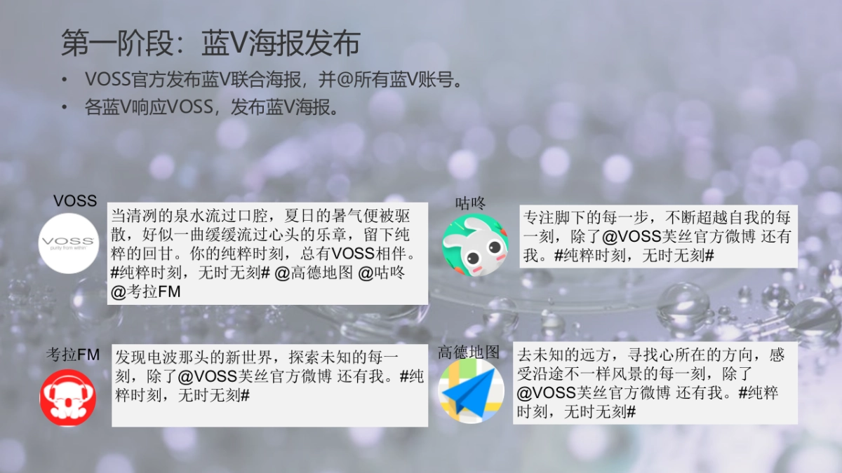 VOSS国产水上市蓝V大行动执行方案_第5页