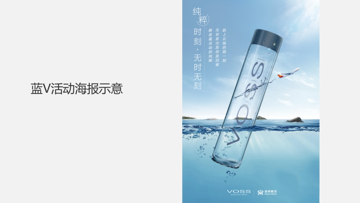 VOSS国产水上市蓝V大行动执行方案_第7页