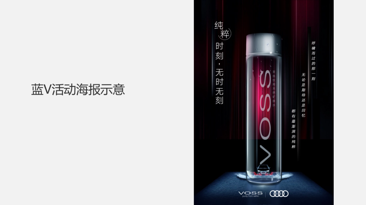 VOSS国产水上市蓝V大行动执行方案_第8页