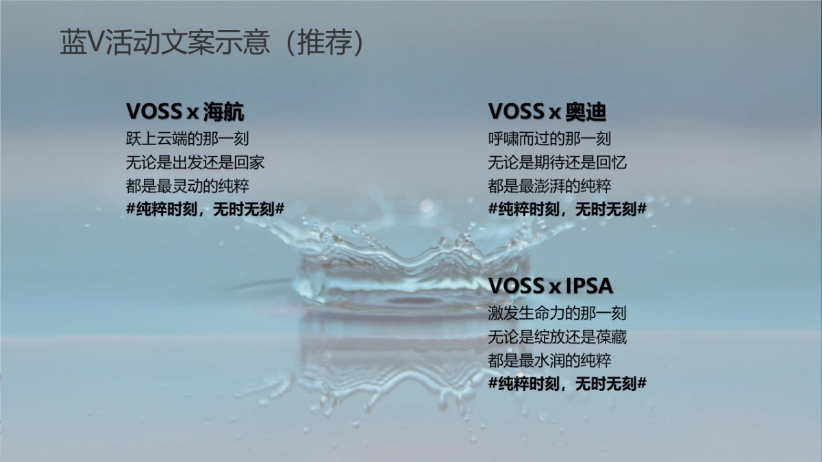 VOSS国产水上市蓝V大行动执行方案_第9页