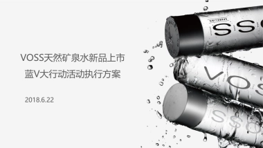 VOSS国产水上市蓝V大行动执行方案