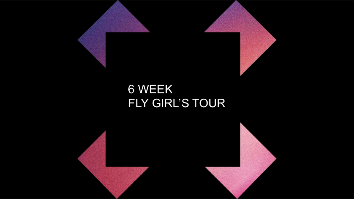 ADIDAS WOMAN‘s RUN执行方案_第2页