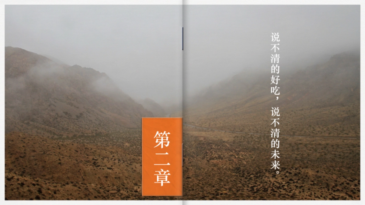 （我想做个粗人）W西贝品牌策略破题沟通案_第10页