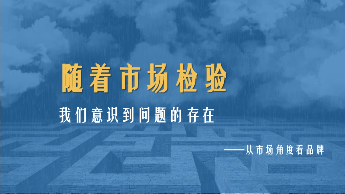 2018蒙牛蒂兰圣雪品牌策略_第6页