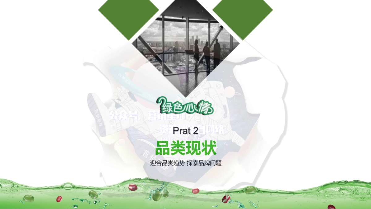 2019绿色心情品牌策略提报_第7页