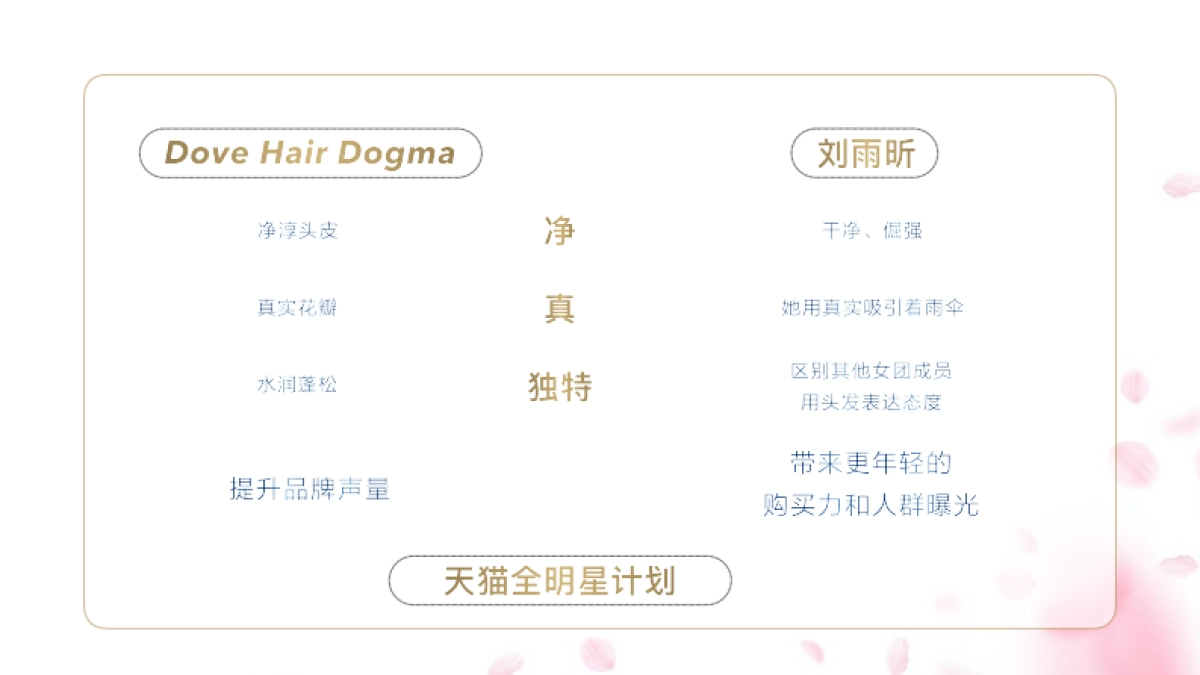 2020D11天猫全明星 Dove Hair x 刘雨昕粉丝营销方案_第4页