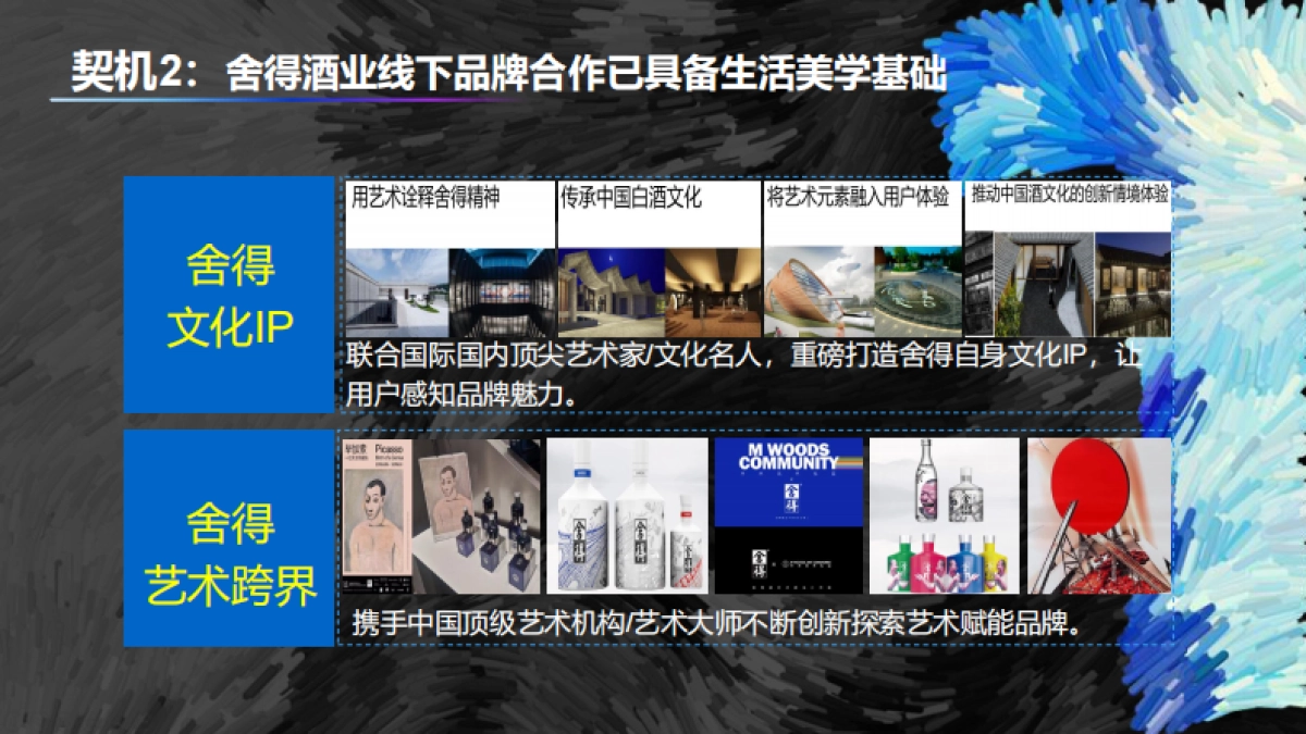 2020年舍得酒业 X Blued破圈营销_第10页