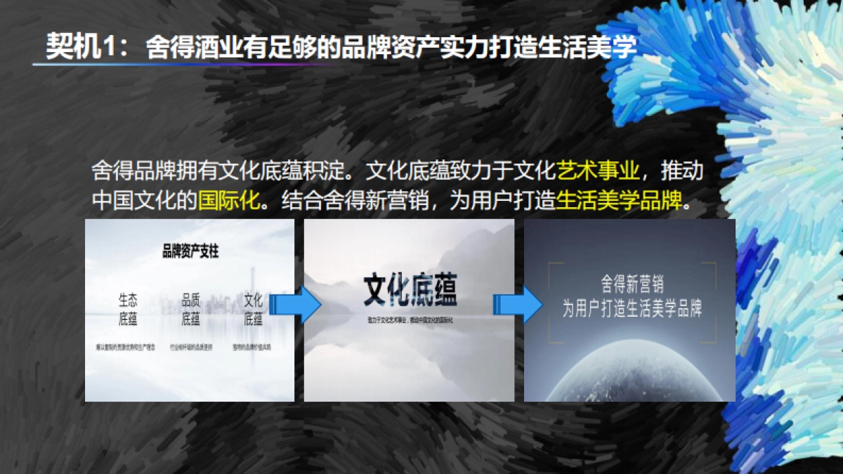 2020年舍得酒业 X Blued破圈营销_第9页