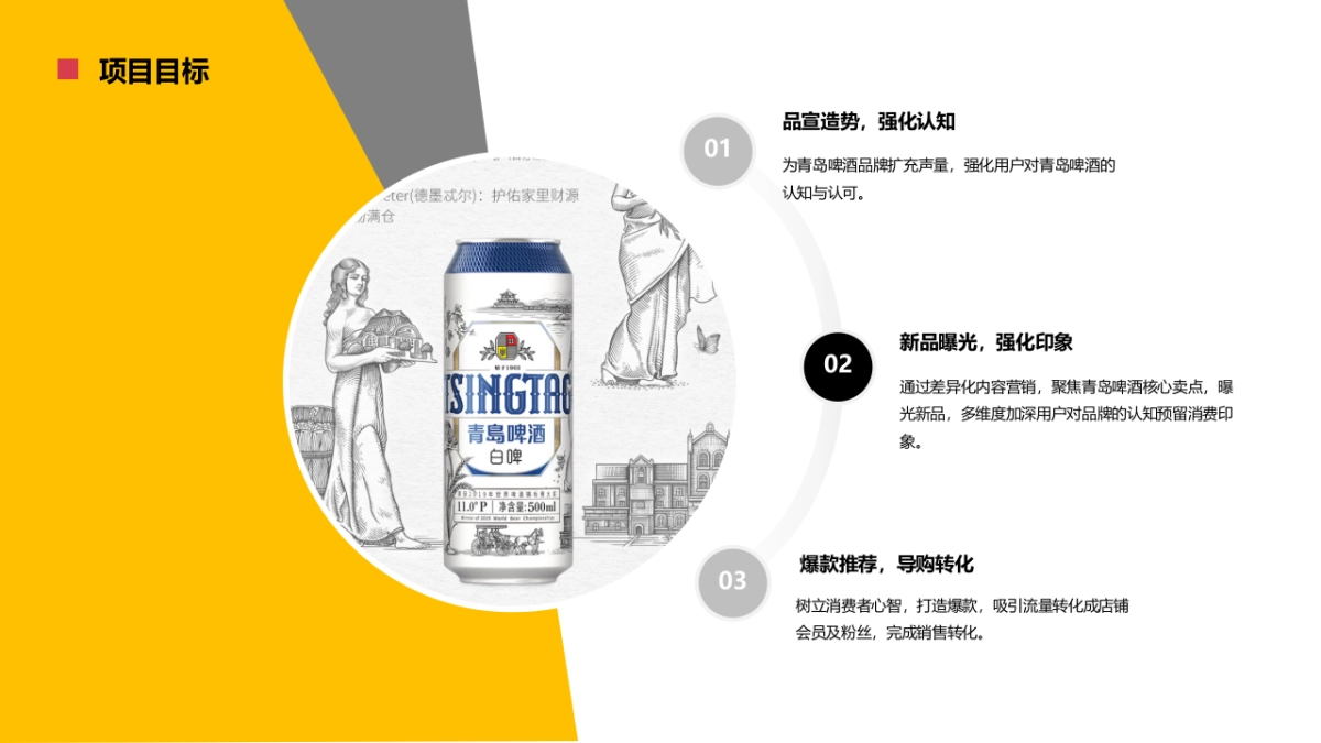 2020青岛啤酒天猫旗舰店内容营销方案_第5页