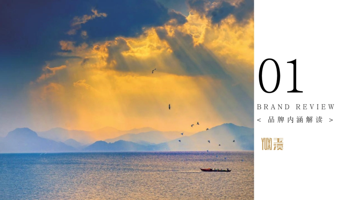 2020玉溪品牌升级策略方案_第10页