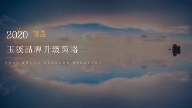 2020玉溪品牌升级策略方案