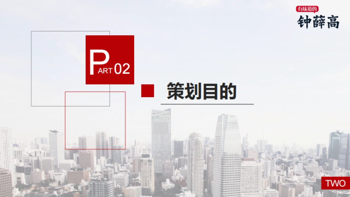 2021钟薛高雪糕品牌营销策划方案_第5页