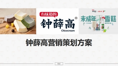 2021钟薛高雪糕品牌营销策划方案